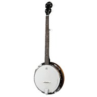 fender banjo for sale