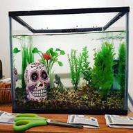 20l fish tank for sale