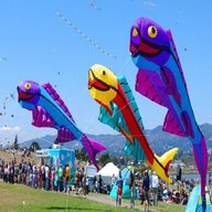 large kite for sale