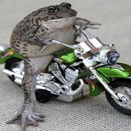 frog 52 bike for sale