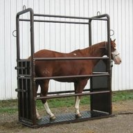 horse stocks for sale
