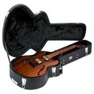 335 guitar case for sale