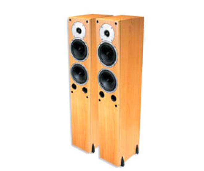 Gale Floor Standing Speakers For Sale In Uk View 13 Ads