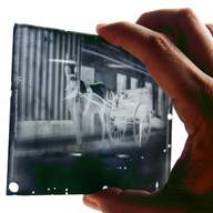 glass plate negatives for sale