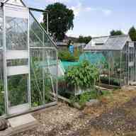 allotment greenhouse for sale