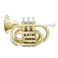 mini trumpet for sale