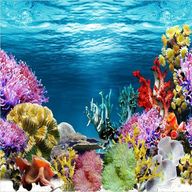 aquarium fish tank background for sale