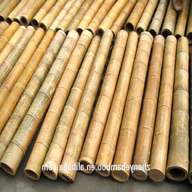 bamboo trunks for sale