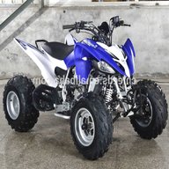 250cc quad for sale