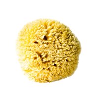 natural sea sponge for sale