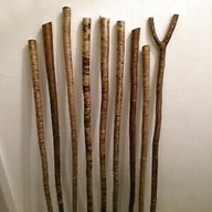 walking sticks shanks hazel for sale
