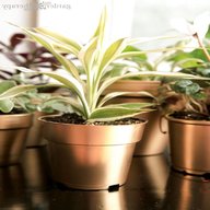clay plant pots for sale