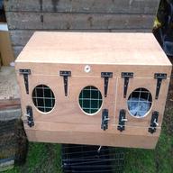 terrier box for sale