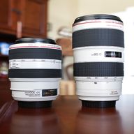 canon 300mm f4 l for sale