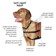 halti harness for sale