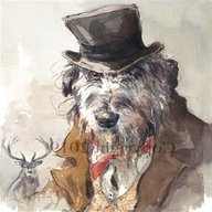 limited edition dog prints for sale