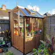 shed greenhouse for sale