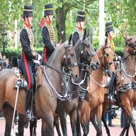 royal horse artillery for sale