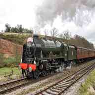 royal scot for sale