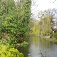 ravenscourt park for sale