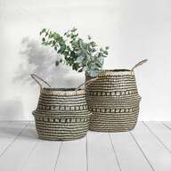 basket plants large for sale