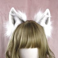 wolf ears for sale