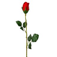 long stem roses for sale