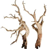 driftwood branches for sale