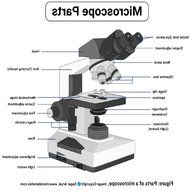 microscope parts for sale