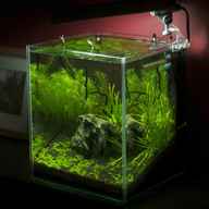 nano aquarium for sale