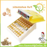 quail egg incubator for sale