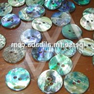 paua buttons for sale