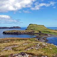 oronsay for sale