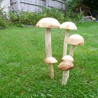 wooden garden mushrooms for sale
