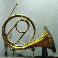 natural horn for sale
