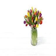 glass tulips for sale