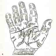 palmistry hand for sale