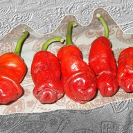 peter pepper for sale