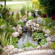 small pond for sale