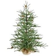 potted christmas tree for sale