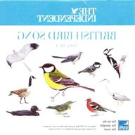 british bird song cd for sale