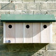 sparrow box for sale