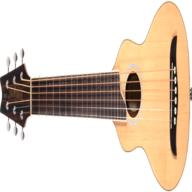washburn acoustic guitar for sale