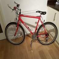 raleigh max cromo for sale