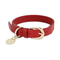 dog collar for sale