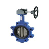 butterfly valve for sale