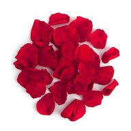 real rose petals for sale