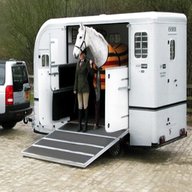 horsebox horse trailer for sale