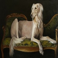 saluki painting for sale