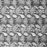 snake print fabric for sale